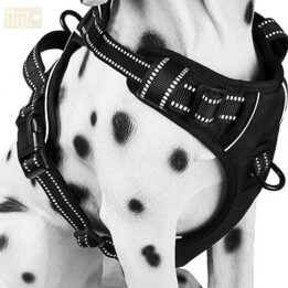 Pet Factory wholesale Amazon Ebay Wish hot large mesh dog harness 109-0001 petproduct.com.cn