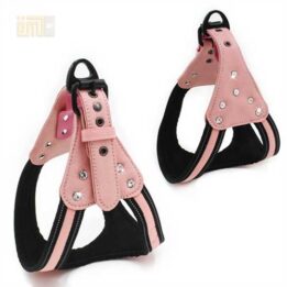 GMTPET Pet factory wholesale Pet dog car harness for girls 109-0007 petproduct.com.cn