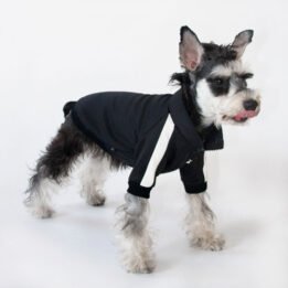 Sport Pet Clothes Custom Fashion Dog BomberJacket Blank Dog Clothes petproduct.com.cn
