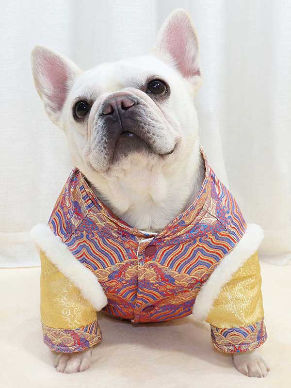 GMTPET French fighting Chinese New Year’s clothing New Year’s clothing Tang suit Chinese style fat dog bulldog dog clothes thickened rabbit fur jacket cotton coat 107-222013 petproduct.com.cn