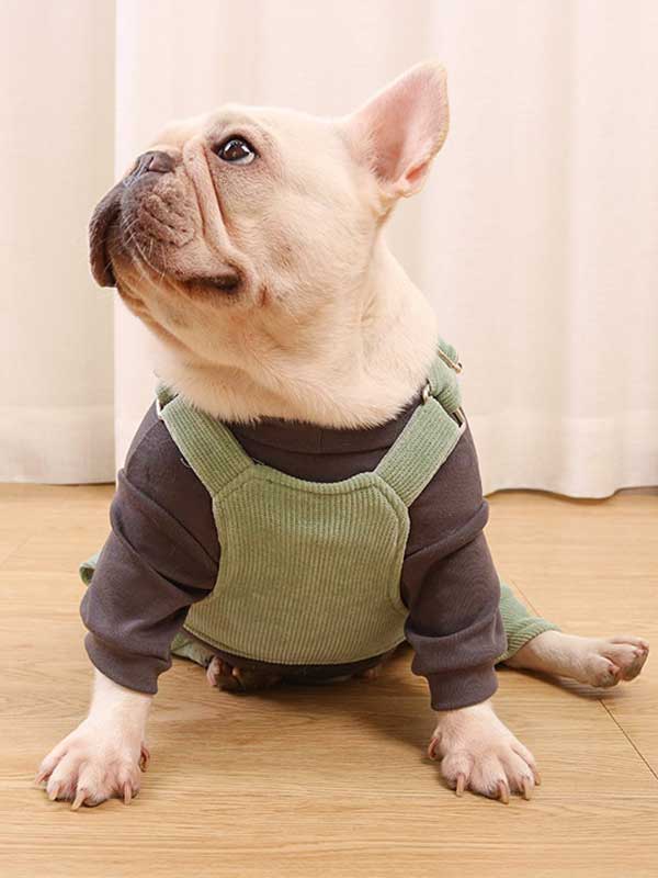 GMTPET French fighting clothes high elastic comfortable solid color plus velvet thick bottoming shirt T-shirt bulldog dog clothes 107-222016 petproduct.com.cn