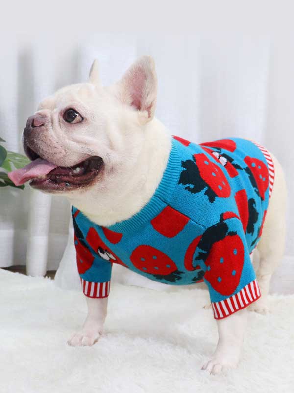 New autumn and winter dog clothes bulldog sweater strawberry cartoon short body fat dog method fighting autumn sweater 107-222041 petproduct.com.cn