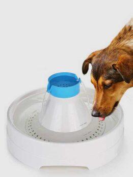 Wholesale OEM ODM Pet dog water feeder fountain