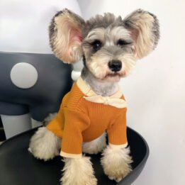 Dog Sweater Bowknot Plain Knit Sweater Cute Cat Winter Clothing Pet Clothes Pet Accessories petproduct.com.cn