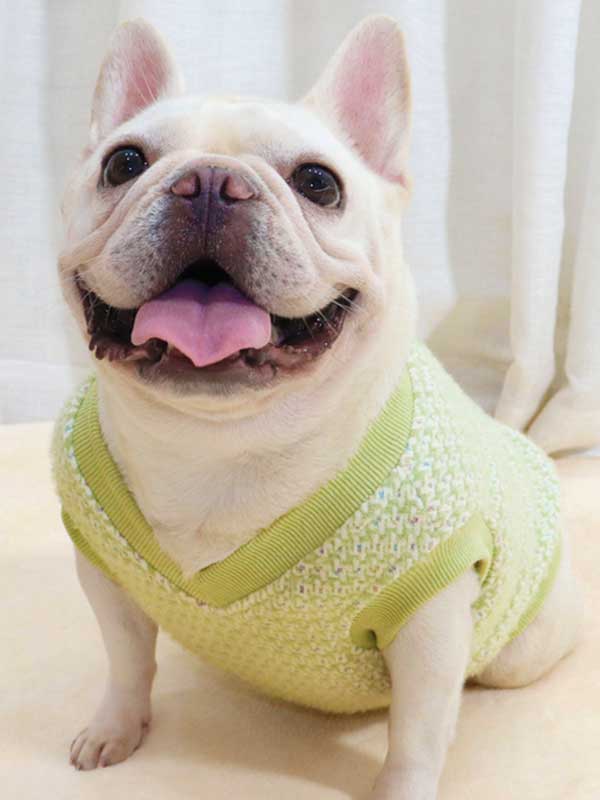GMTPET Thickened autumn and winter fat dog short body bulldog pug dog lady plush rich rich French fighting clothes v-neck vest vest 107-222012 petproduct.com.cn