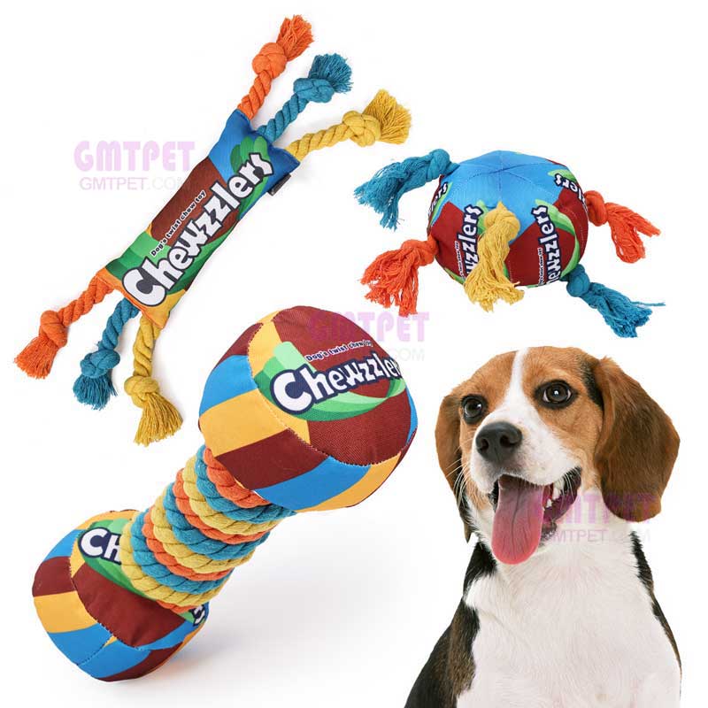 Pet toy and dog toys