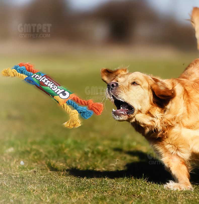 Pet toy and dog toys