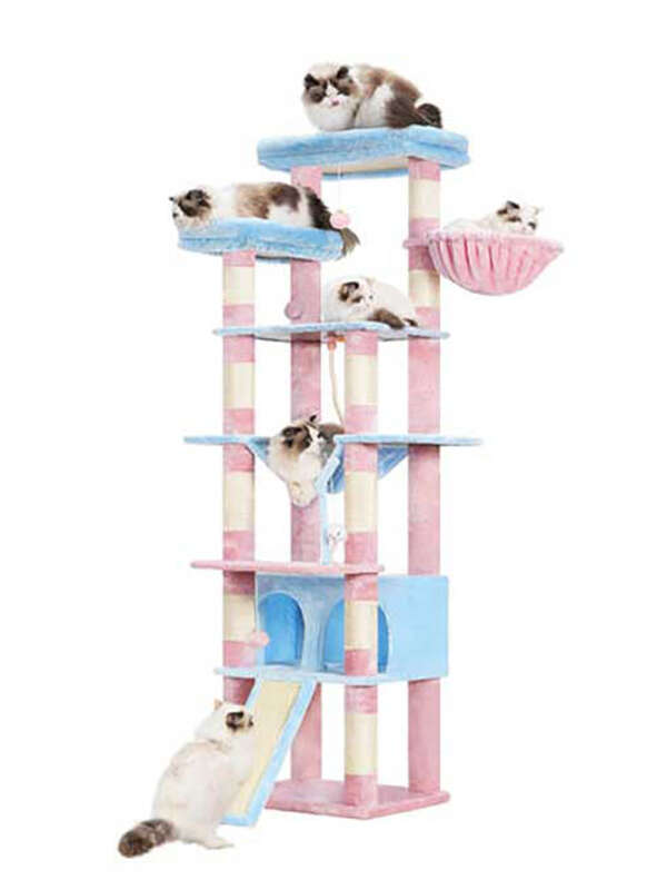 78-Inch Tall Luxury Cat Tree Multi-Level Wood Tower 2 Widened Plush Perches Blue Pink Cat Condo Scratching Board Indoor Cats 105-62083 Pet Products Factory, OEM Manufacturer, Supplier, Agent petproduct.com.cn cat trees scratcher, bog cat tree, cat tower tree dropshipping, mushroom cat tree, purple cat tree, cat trees and scratching post, cat tree house, cat climbing tree house tower, minimalistic cat tree, cheese cat trees, cat tree tower large, cat christmas tree, cat-tree-dropshipping, cat tree for indoor cats, cat tree custom, wall-mounted cat tree, cat tree real wood, tree for big cats, wholesale cat trees, cat tree dropshipping, high quality cat tree, plastic cat tree, tree for cats 140cm, cat tree forest, custom cat tree tall, rope for cat tree, fabric for cat tree, rattan cat tree, luxury cat tree massive, simple cat tree, cat tree modern, cat tree cute, mau cat tree, cat tree wall, cat tree castle, large cat tree tower, high cat tree, 54 cat tree, cherry blossoms cat tree, cat tree 1 pieces, magic forest cat tree, cat tree house free shipping, modern wooden luxury cat tower tree, wooden cat furniture tree cat, basket cat tree, indoor stimulation tree for cats, luxury pet wooden cat tree, cute cat tree, cat tree with leaves, bookcase cat tree, real wood cat tree, pink cat tree, cat wooden tree, small cat trees, palm cat tree, luxury cat tree house, large cat tree house, cactus cat tree, lidl cat trees, cat tree parts, cat tree xl, cat wood tree, tree cat scratcher, flower cat tree, cat tree,